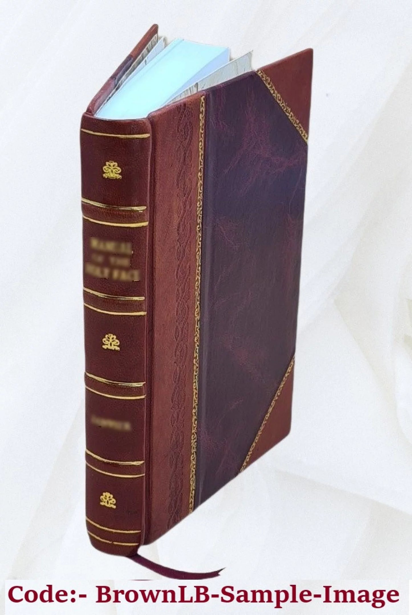 1923 [LEATHER BOUND]. Scott. F. The Epistle to the Hebrews: its doctrine and significance, by E