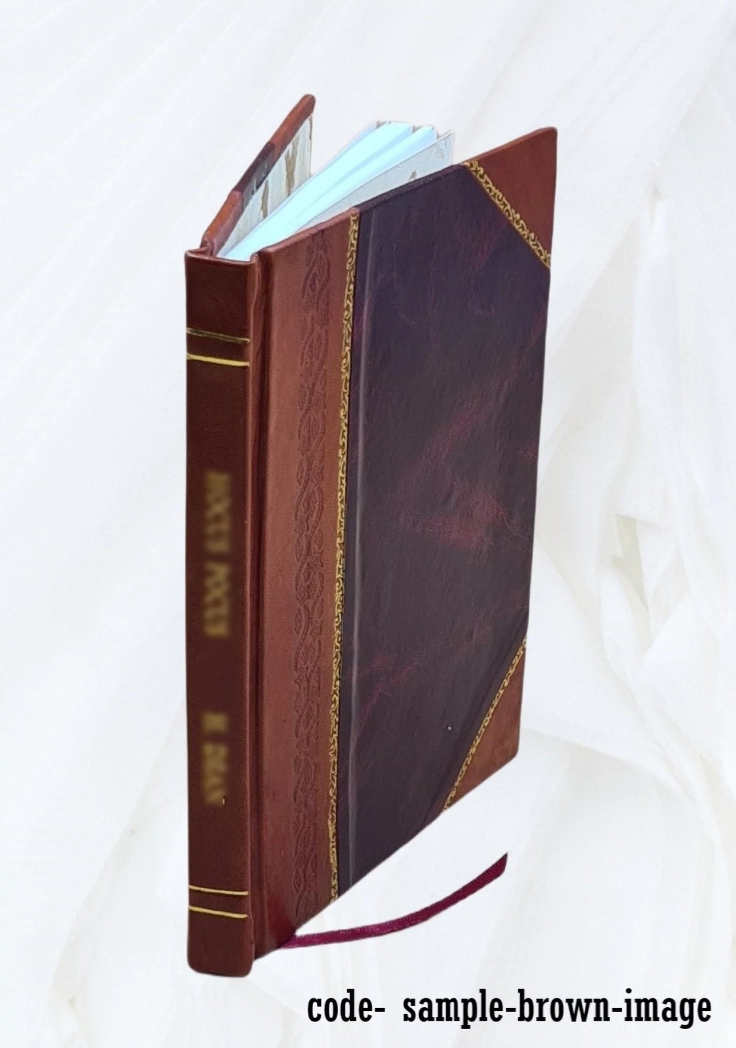 1875 [Leather Bound]. Serie dei vescovi di Sanseverino nella Marca dopo la restituzione fatta dal pontefice: Sisto V a ..