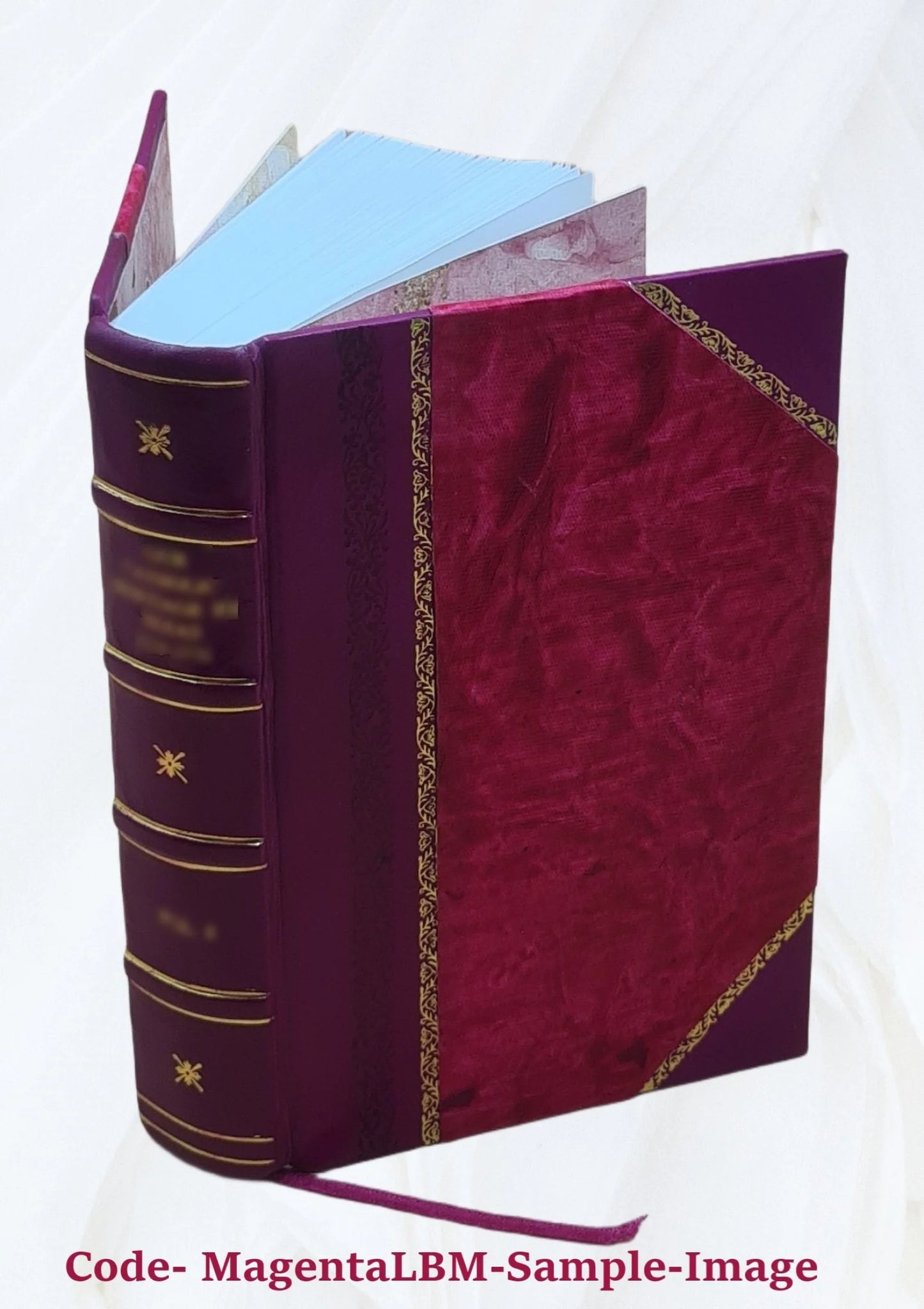 1869 [Leather Bound]. with additions by Susan Benedict Hill. History of Danbury, Conn., 1684-1896 : from notes and manuscript left by James Montgomery Bailey / comp