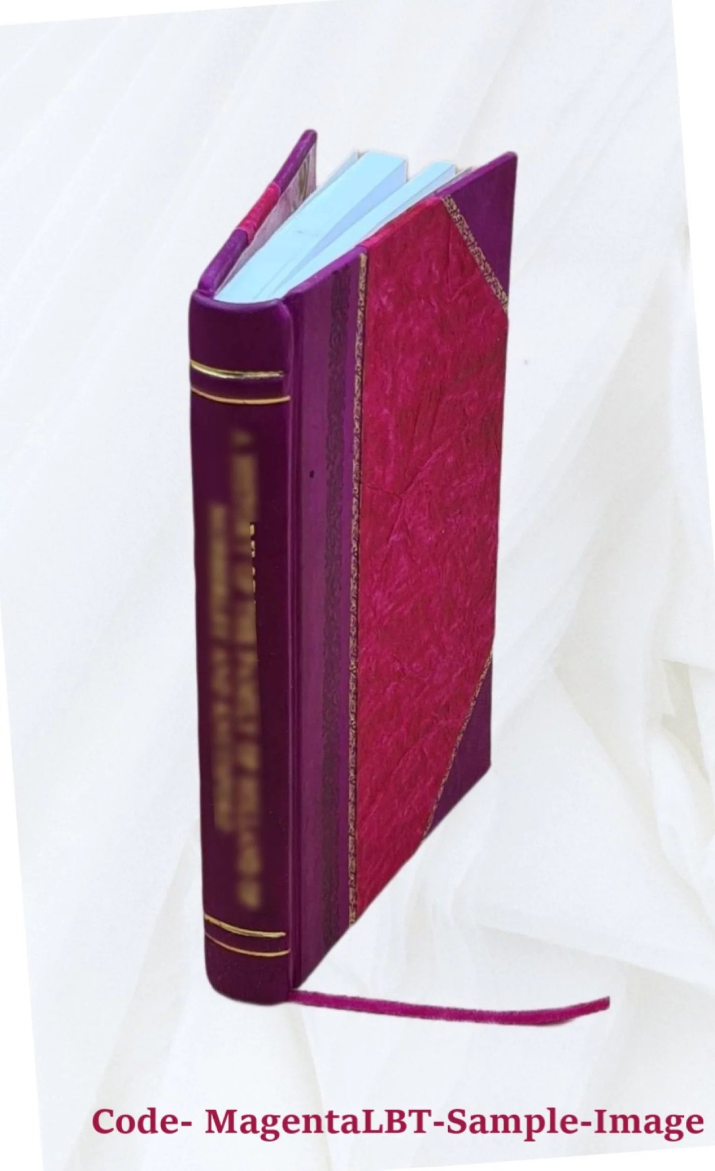 1875 [Leather Bound]. Serie dei vescovi di Sanseverino nella Marca dopo la restituzione fatta dal pontefice: Sisto V a ..