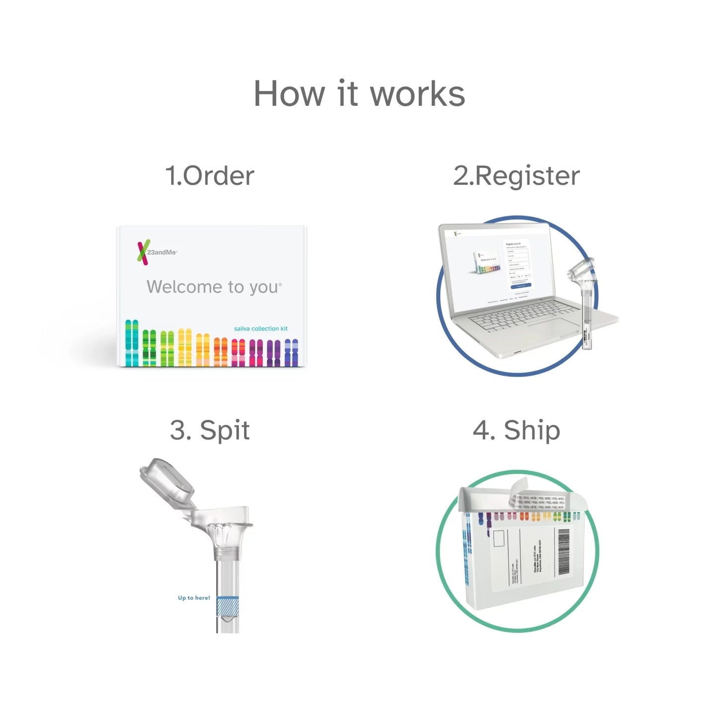 23andMe Health + Ancestry Service – DNA Test (before You Buy See Important Test Info below)