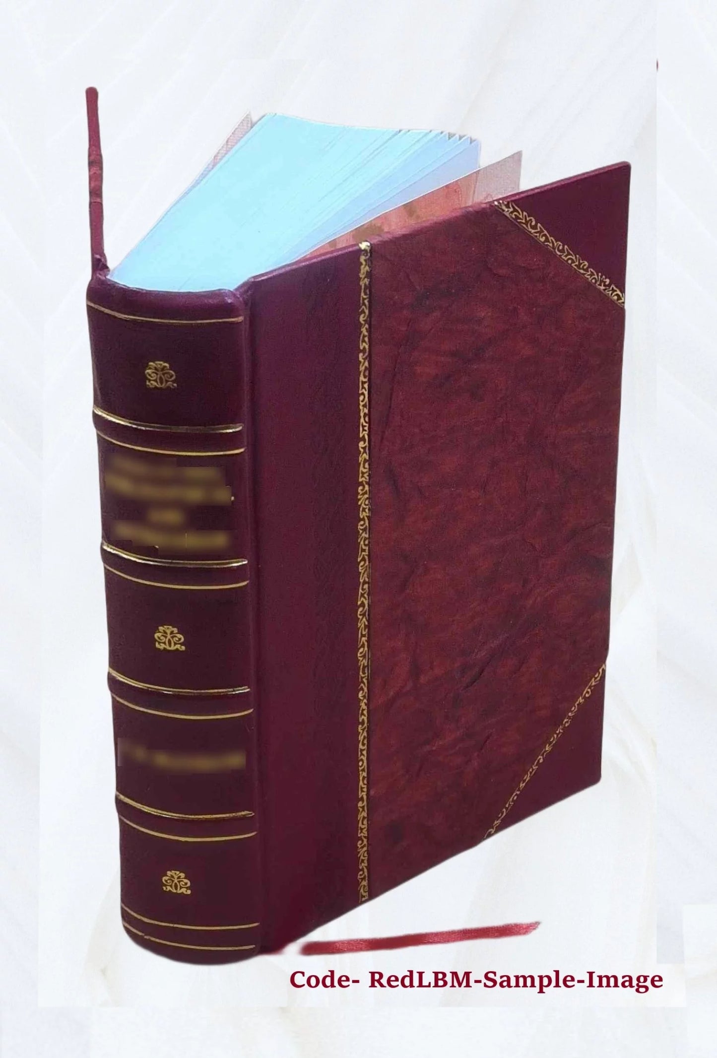 1869 [Leather Bound]. with additions by Susan Benedict Hill. History of Danbury, Conn., 1684-1896 : from notes and manuscript left by James Montgomery Bailey / comp