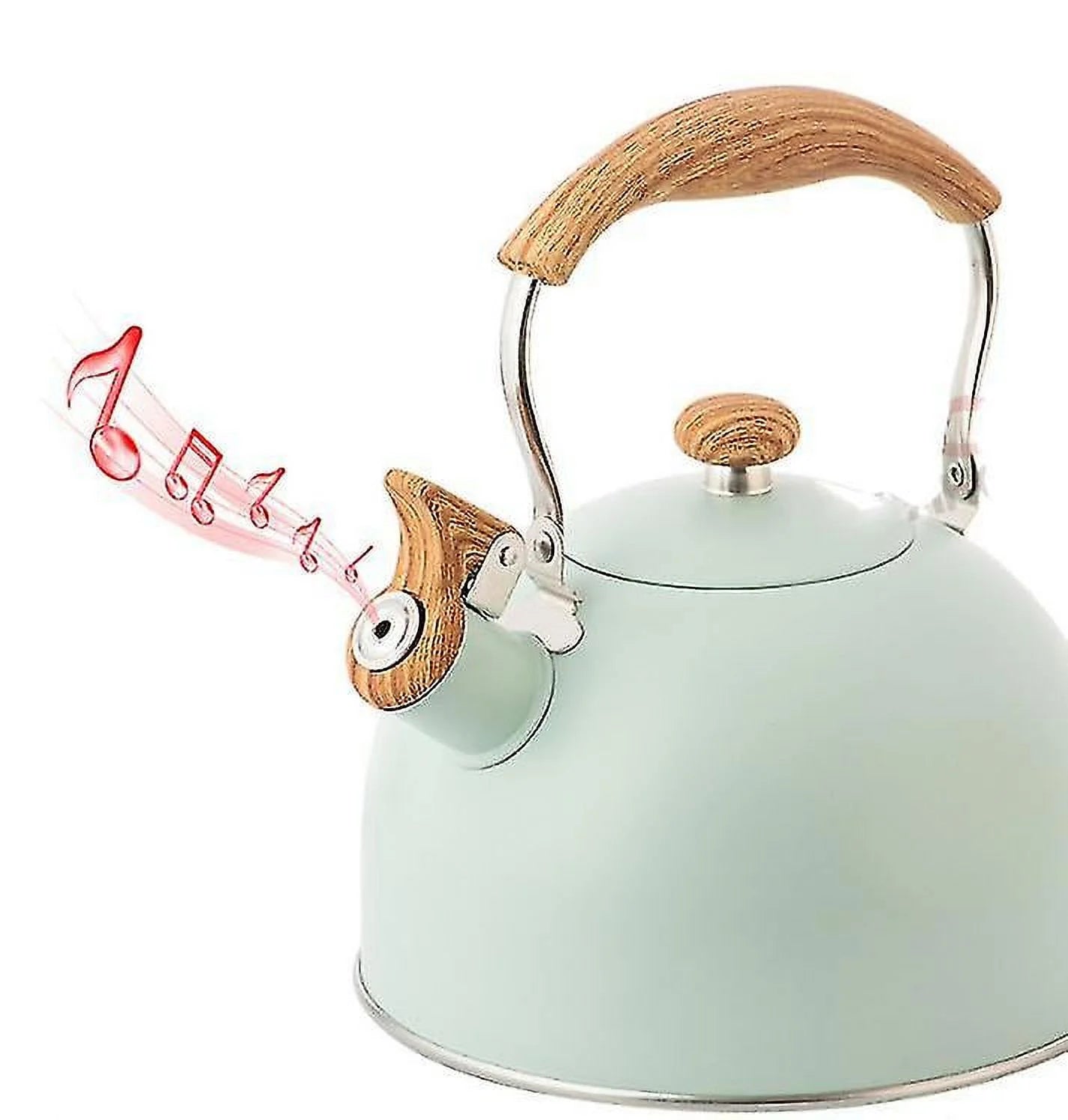 2.5 Liter Stainless Steel Electric Kettle FUZHIS SHB